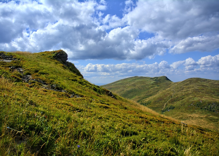 绥化望奎最新一期，黑土地上，新芽正破土