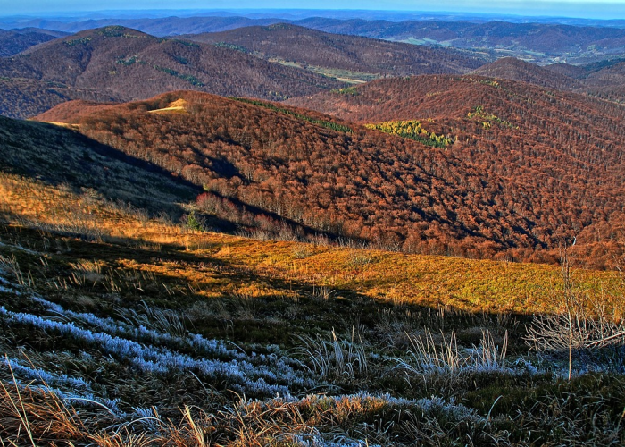 绥化望奎最新一期，黑土地上，新芽正破土