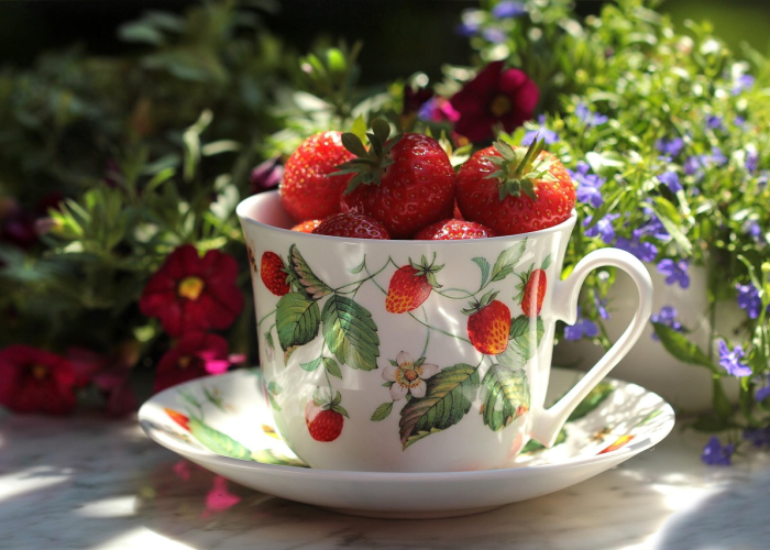 给大家科普一下“玖天乐游真的有透视挂”(详细开挂教程)-知乎 给大家科普一下“玖天乐游真的有透视挂”(详细开挂教程)-知乎