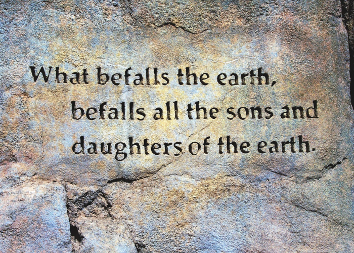 河北沧州疫情动态解析，当前风险等级与防控指南