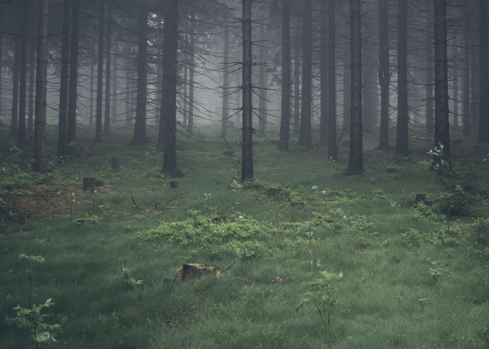 分享给大家“星禾卡五星原来有挂”(辅助开挂教程)-知乎 分享给大家“星禾卡五星原来有挂”(辅助开挂教程)-知乎