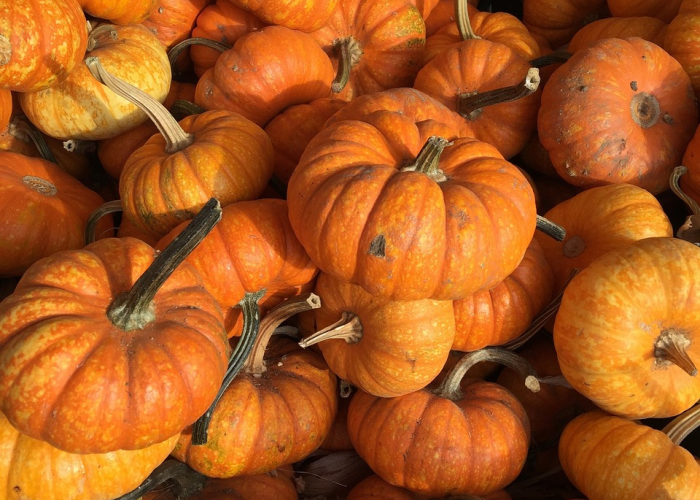 给大家科普一下“新蜜瓜到底有没有挂”(透视详细教程)-知乎 给大家科普一下“新蜜瓜到底有没有挂”(透视详细教程)-知乎