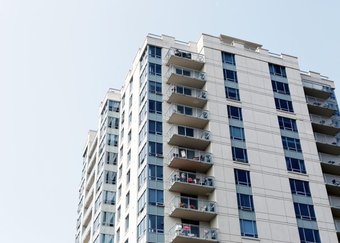 玩家分享攻略“牛财神真的有开挂软件”(透视详细教程)-知乎 玩家分享攻略“牛财神真的有开挂软件”(透视详细教程)-知乎