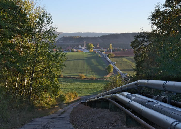 新疆石河子,精准防控下的有序生活 新疆石河子,精准防控下的有序生活