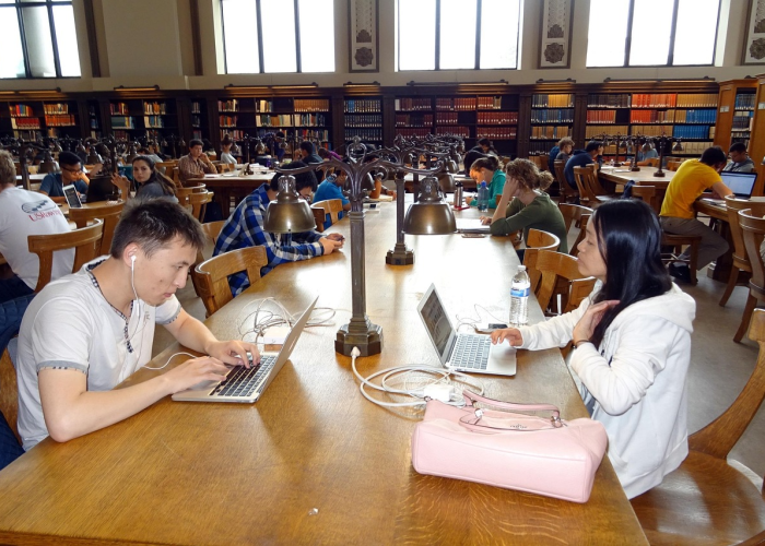 成都郫都区当前疫情风险情况解析，实时数据与防控措施一览