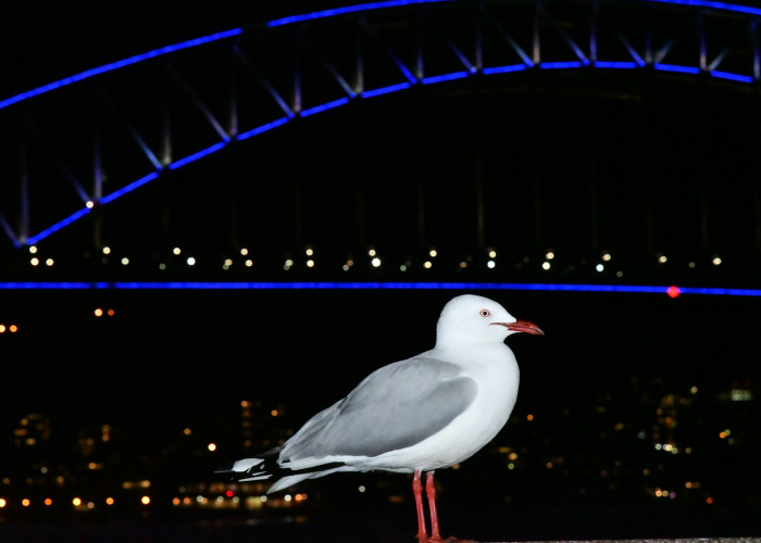 【重大消息】“十三十三水是不是有透视辅助”(详细开挂教程)-知乎 【重大消息】“十三十三水是不是有透视辅助”(详细开挂教程)-知乎