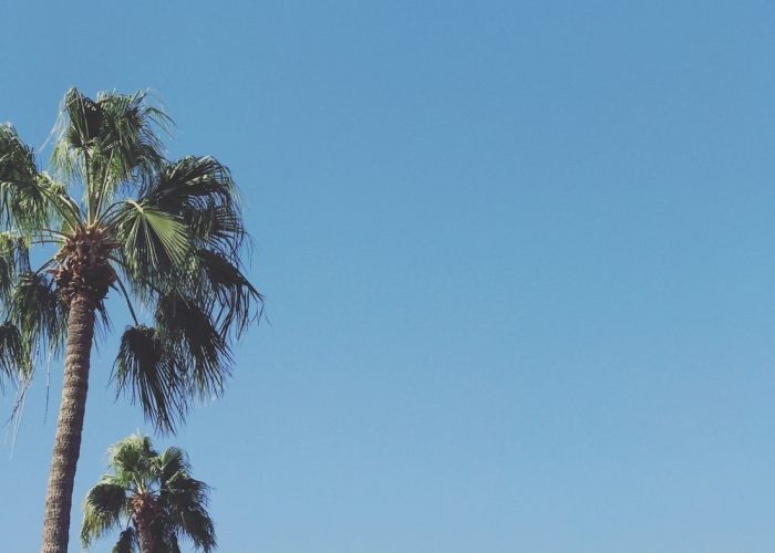 我来告诉大家白金岛跑胡子究竟怎么透视”(原来确实有挂)-知乎