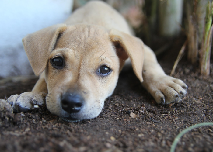 我来教大家“中至抚州透视软件挂”(其实确实有挂)-知乎