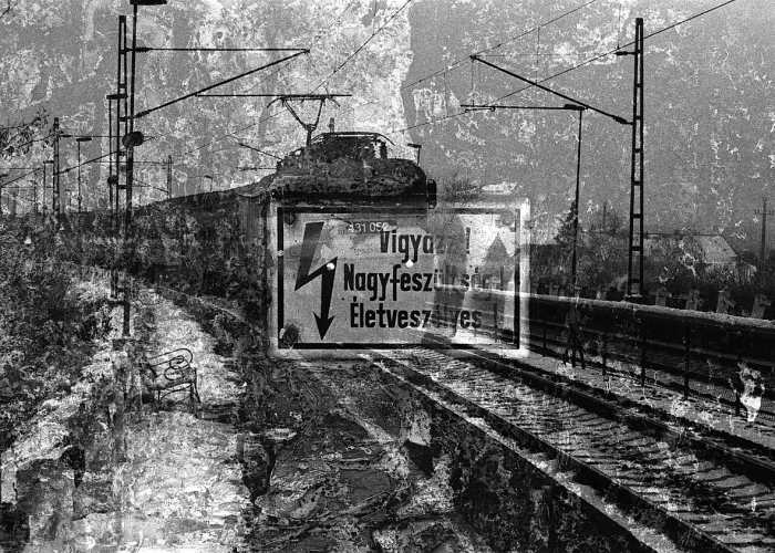 惊人内幕“麻友圈2透视开挂神器”(详细开挂猫腻)-知乎