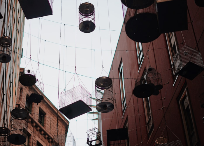 一分钟揭秘“经典联盟透视挂真的假的”(其实确实有挂)-知乎