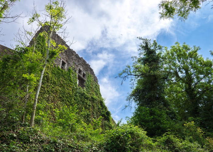 给大家科普一下“云水谣开挂透视软件”(辅助开挂教程)-知乎 给大家科普一下“云水谣开挂透视软件”(辅助开挂教程)-知乎