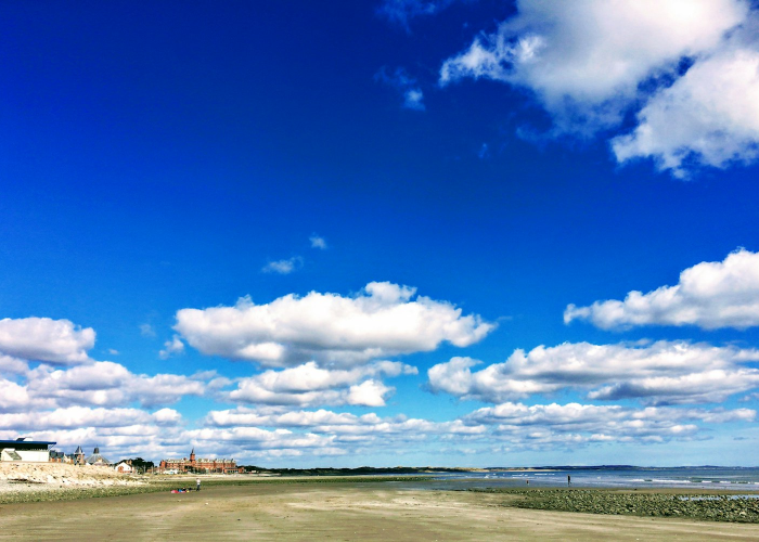 十大通报“福鼎茶楼开挂透视有吗”(果然有挂)-知乎