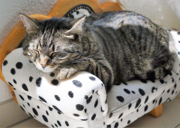 玩家分享攻略“欢乐惠游其实真的有透视”(千真万确有挂)-知乎