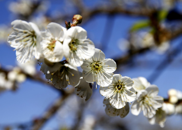 国产鸡腿惊魂，滁州疫情敲响冷链安全警钟