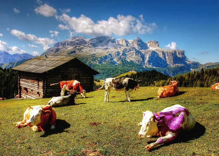 我来告诉大家杭州都莱开挂透视有吗”(开挂透视教程)-知乎