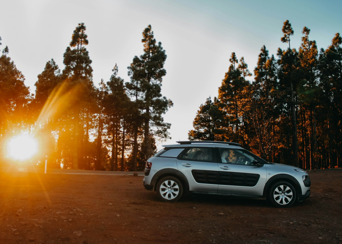 股价跌至1.5元，300221银禧科技如何穿越周期迷雾？