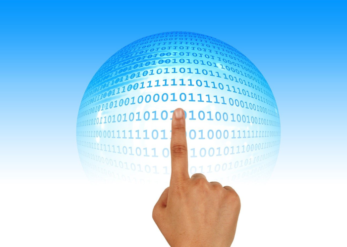 网络热词ddxd是什么意思？揭秘其背后的含义与使用场景