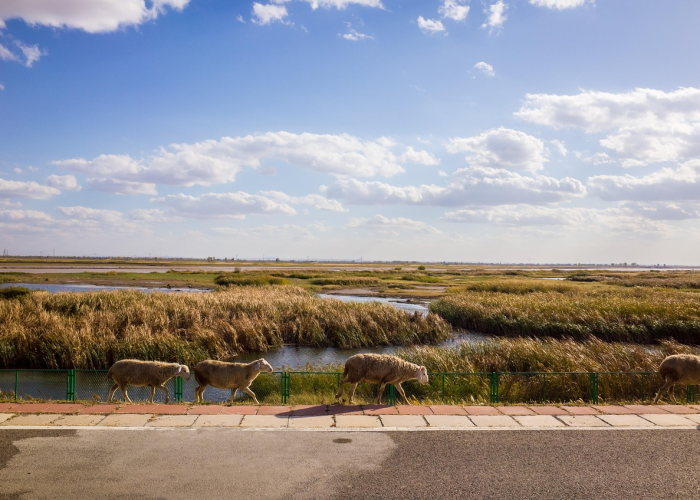 我来告诉大家Poker World有没有透视辅助”(千真万确有挂)-知乎