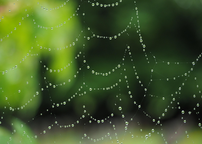 月下潮信，心上秋痕