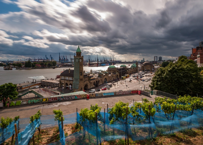 吴凡，在复旦上医的经纬之间，织就中国公卫的韧性之网