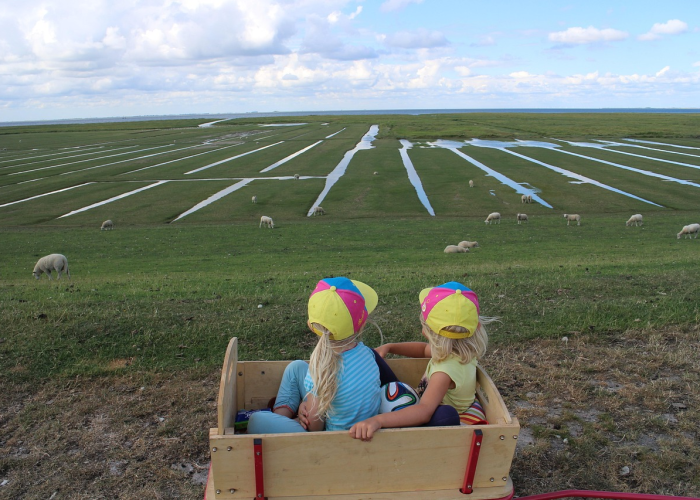 五一假期，从黄金周到小长假的变迁