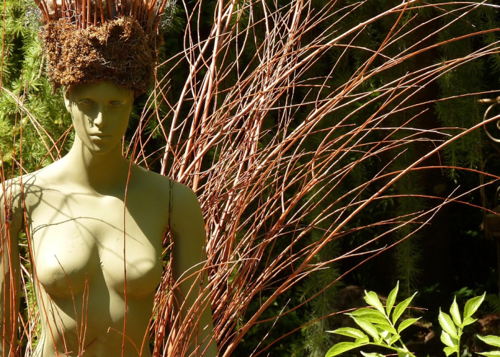 我来告诉大家空谷幽兰有没有挂”(真实可以装挂)-知乎