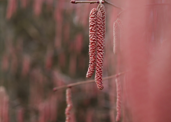 实测普及“c7娱乐可以透视开挂吗”(详细开挂教程)-知乎 实测普及“c7娱乐可以透视开挂吗”(详细开挂教程)-知乎