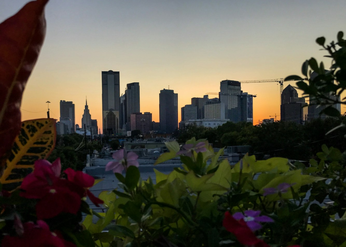 一分钟揭秘“四人斗地主透视挂神器”(详细开挂猫腻)-知乎