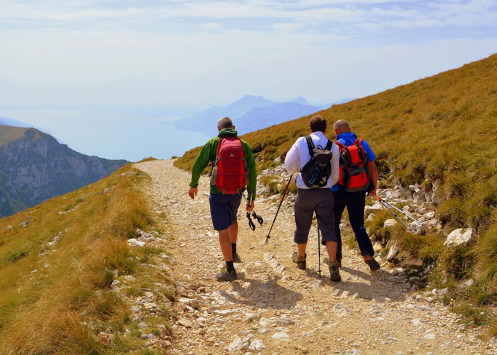 一分钟揭秘“熊猫竟技透视挂辅助”(确实能开挂)-知乎
