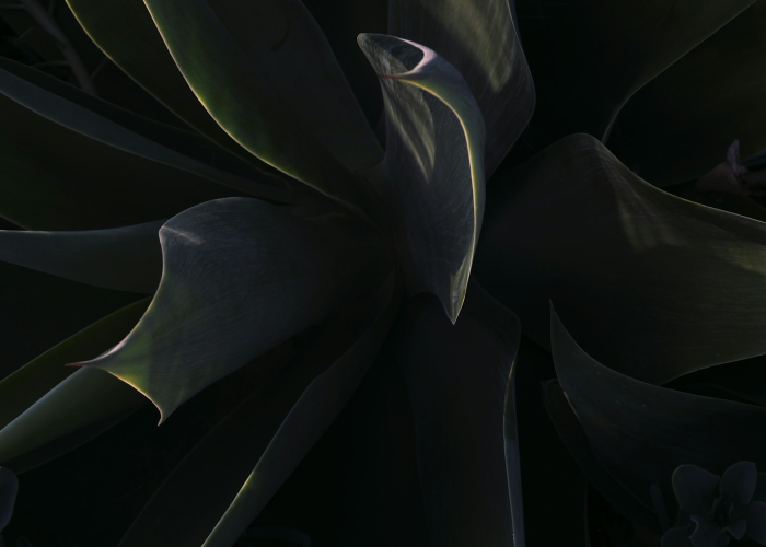 最新引进“越乡游绍兴麻将透视开挂神器”(其实确实有挂)-知乎