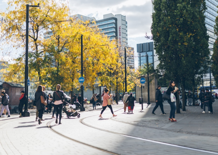 「重大科普」“心悦辽宁麻将透视挂真的假的”(原来确实是有插件)-知乎