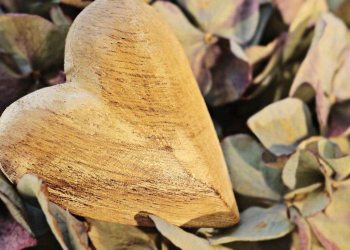 我来告诉大家白金岛放炮罚确实有挂”(详细开挂教程)-知乎 我来告诉大家白金岛放炮罚确实有挂”(详细开挂教程)-知乎