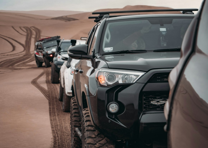 沈阳怪坡虎园乘车路线全攻略，与猛虎隔窗相望的奇妙之旅