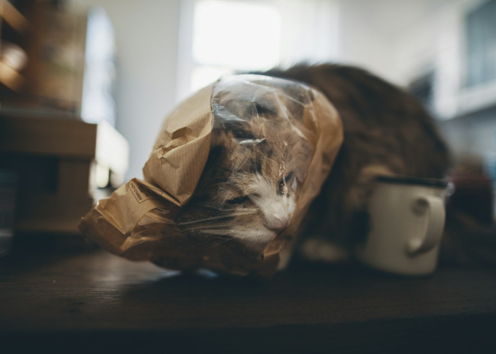 大神爆料“12人拼三张开挂透视有吗”(原来确实有挂)-知乎