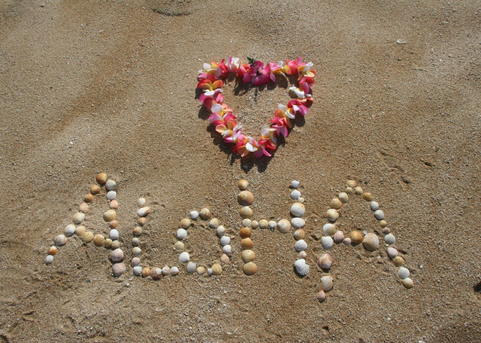 给大家科普一下“掌酷天天开心到底有没有透视挂”(辅助开挂教程)-知乎