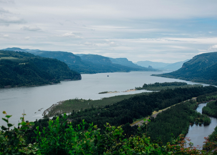 给大家科普一下“云水谣究竟有没有挂”(透视详细教程)-知乎 给大家科普一下“云水谣究竟有没有挂”(透视详细教程)-知乎