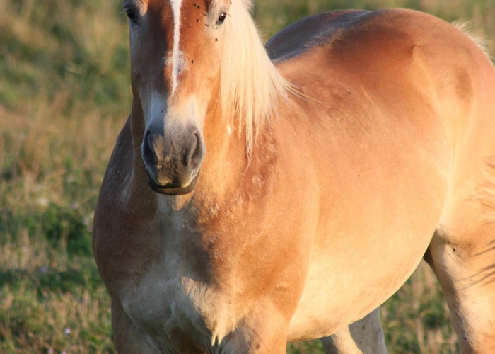 分享给大家“凉山跑得快究竟有没有开挂”(其实确实有挂)-知乎