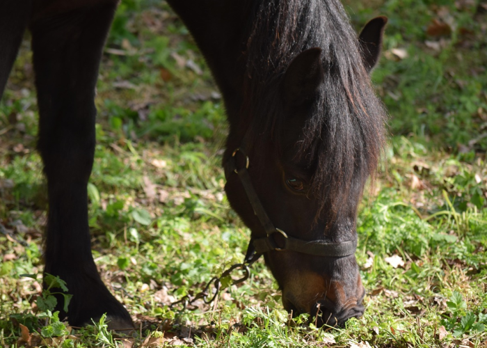 我来教大家“牛财神确实有透视辅助”(其实确实有挂)-知乎 我来教大家“牛财神确实有透视辅助”(其实确实有挂)-知乎