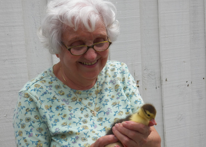 经验分享“明星江苏麻将真的有开挂软件”(开挂透视教程)-知乎