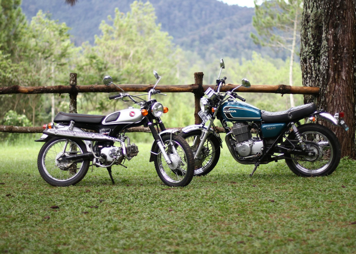 我来告诉大家丽水跑得快确实有挂”(其实确实有挂)-知乎