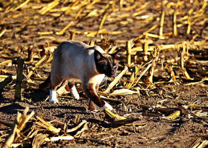 苏州疫情防控动态，实时更新中高风险地区名单（截至发稿）