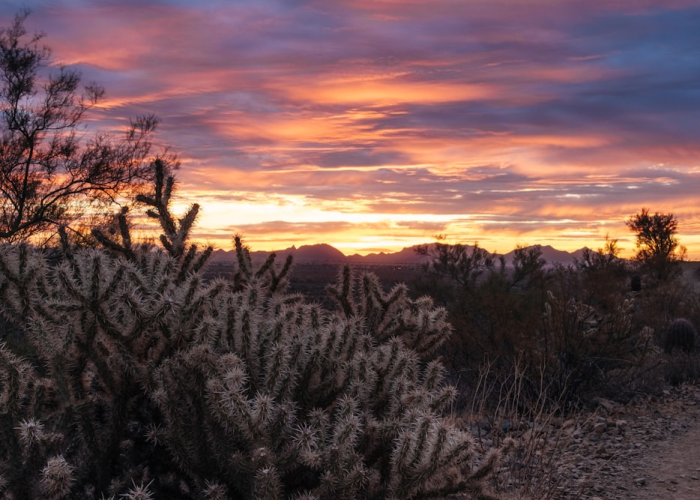 在阴凉处晒太阳，一场关于阳光与健康的微妙平衡
