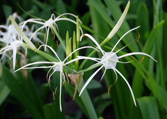 福建最新疫情信息公布，精准防控下的动态与应对