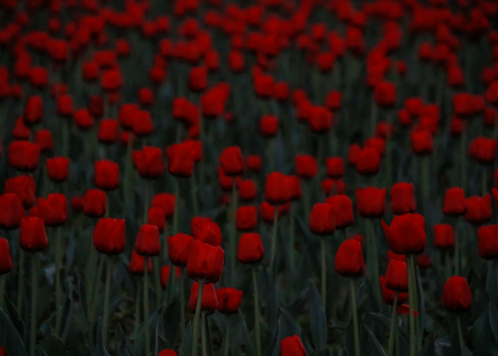 新冠阴影下的贫困回潮，全球一亿人重返极端贫困的警示