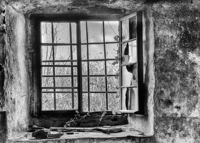 平顶山郏县,疫情下的坚韧与守望 平顶山郏县,疫情下的坚韧与守望