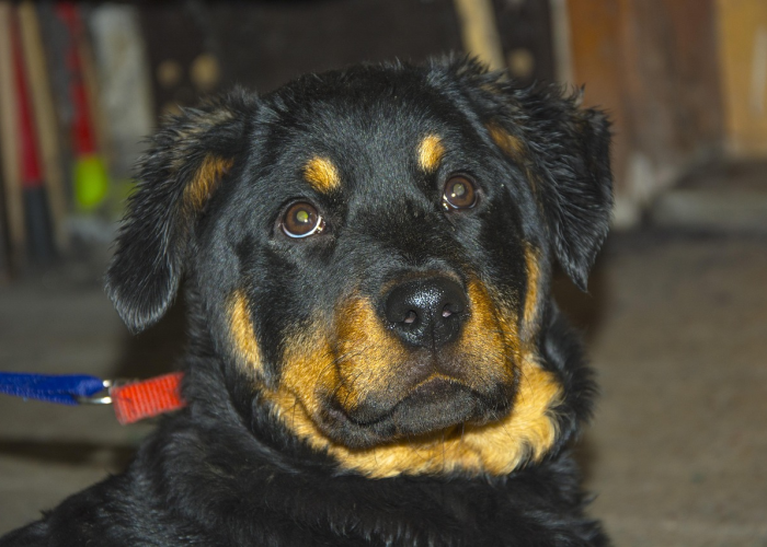 【重大消息】“哈哈推筒子有没有挂”(辅助开挂教程)-知乎