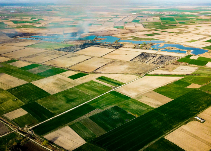 惊人内幕“来来麻将有没有透视辅助”(确实能开挂)-知乎
