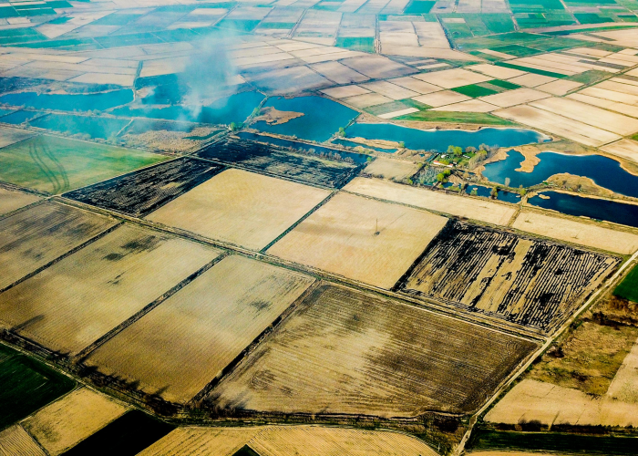 经验分享“可乐麻将确实有透视辅助”(辅助开挂教程)-知乎