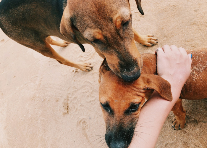 一分钟揭秘“哈狗十三道透视挂真的假的”(其实确实有挂)-知乎
