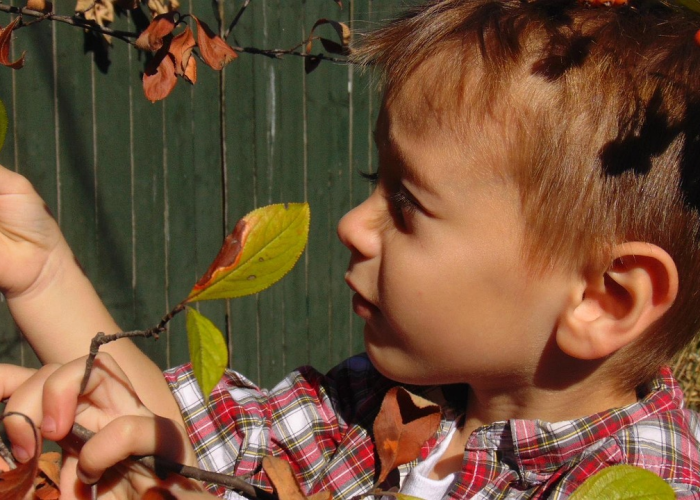 潜伏的真相，传染病一个月后都能被揪出来吗？